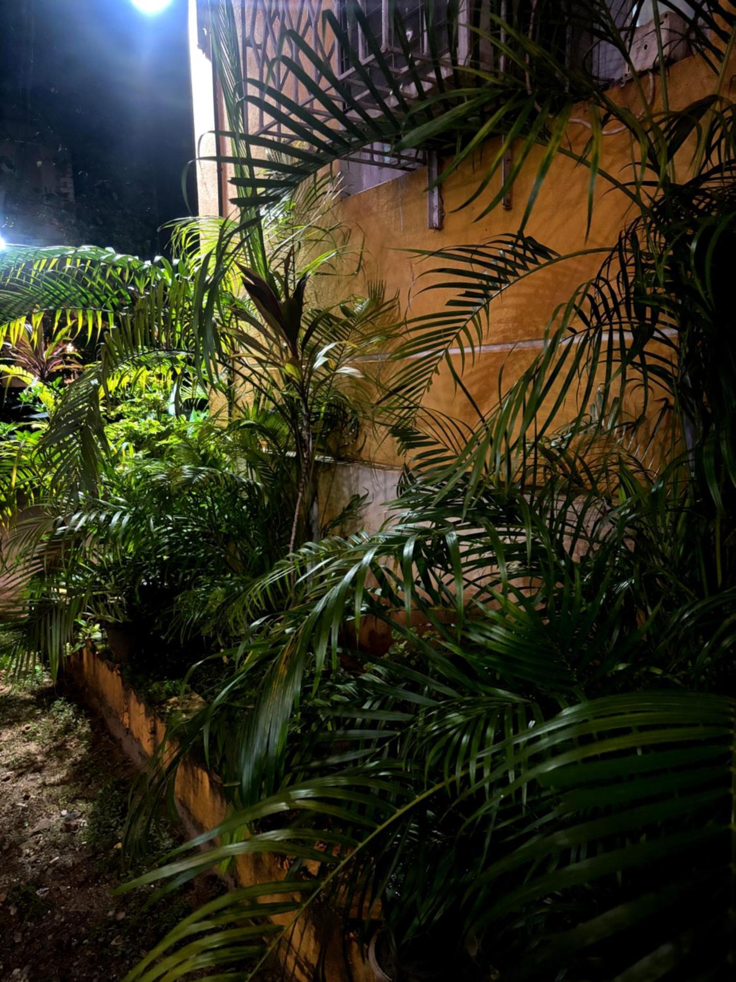 Hotel Harmony By Heaven Calangute Exterior photo